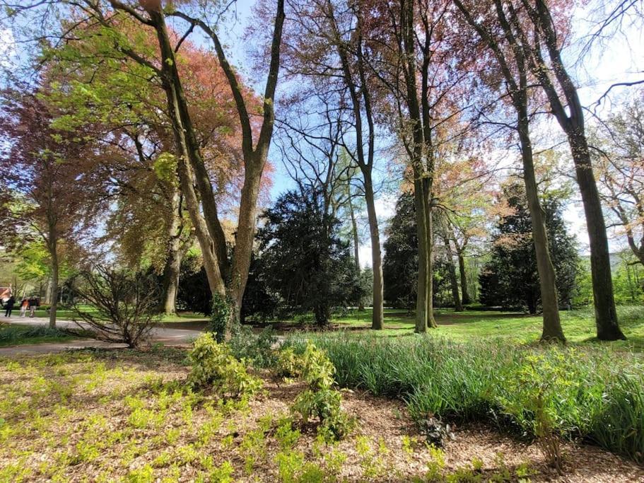 Mit Blick In Den Emsseepark Warendorf Exterior foto