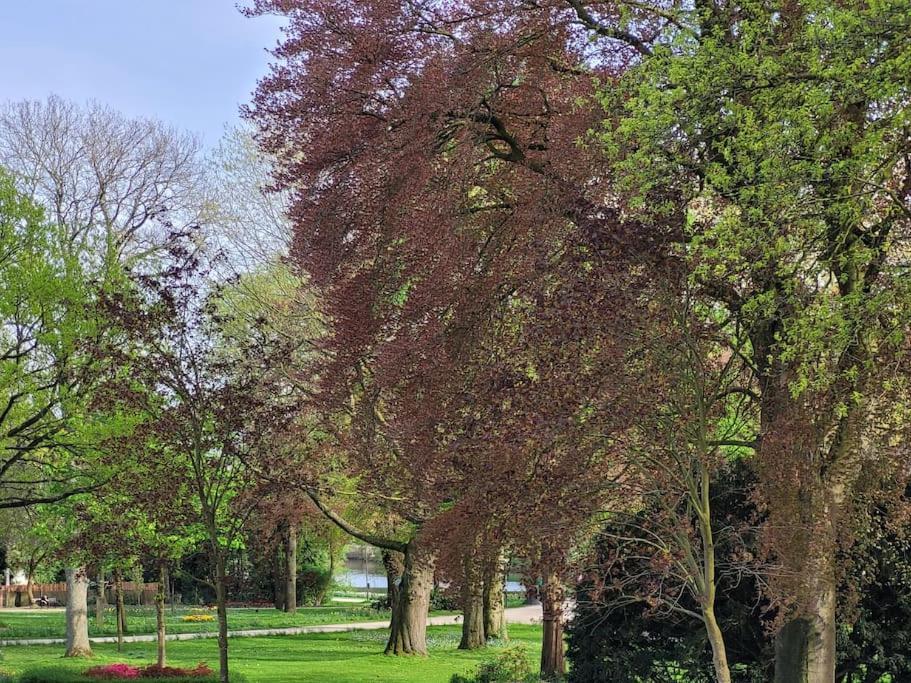 Mit Blick In Den Emsseepark Warendorf Exterior foto